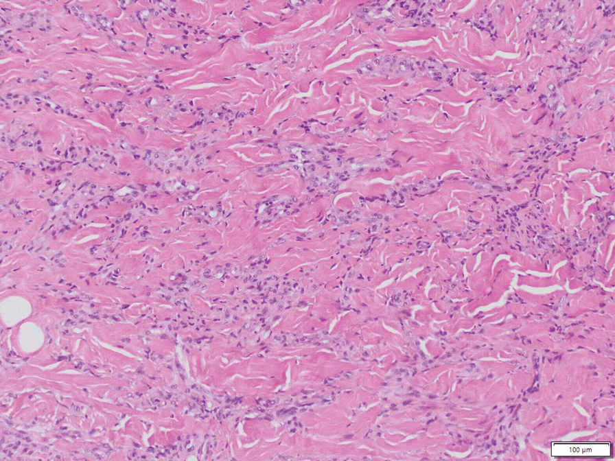 Xu-eFig1