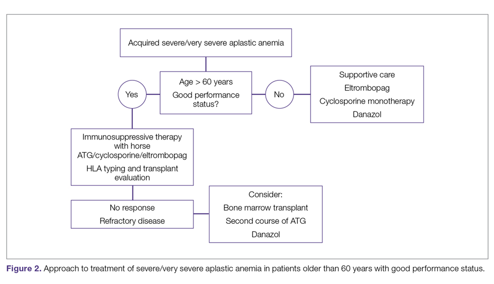 Approach to treatment of severe/very severe aplastic anemia in patients older than 60 years with good performance status.