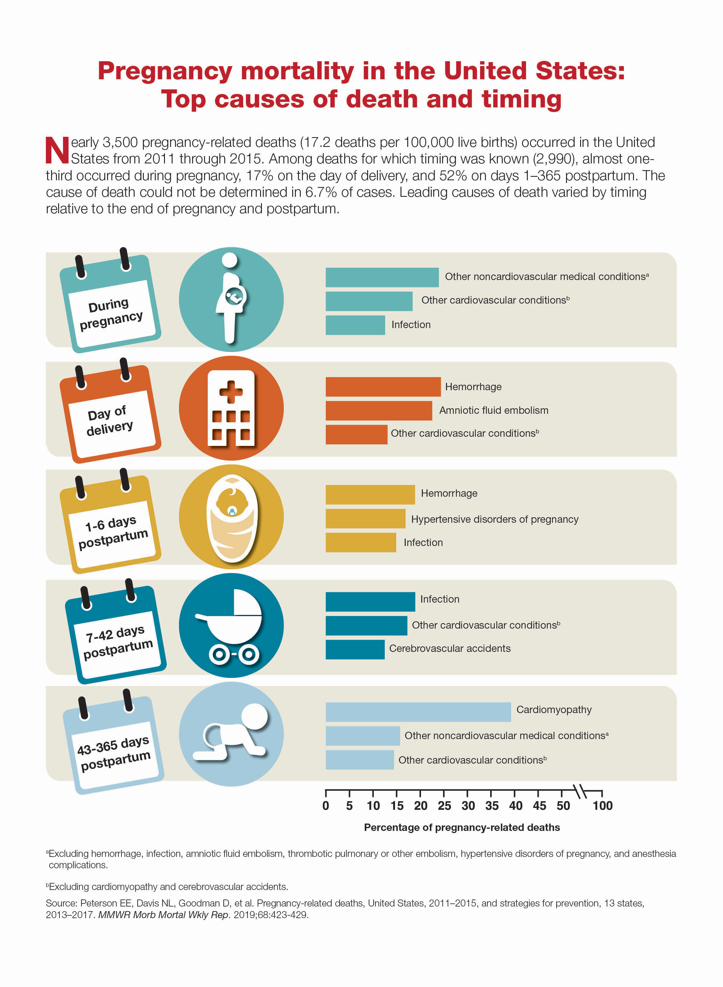 Pregnancy Mortality In The United States Top Causes Of Death And