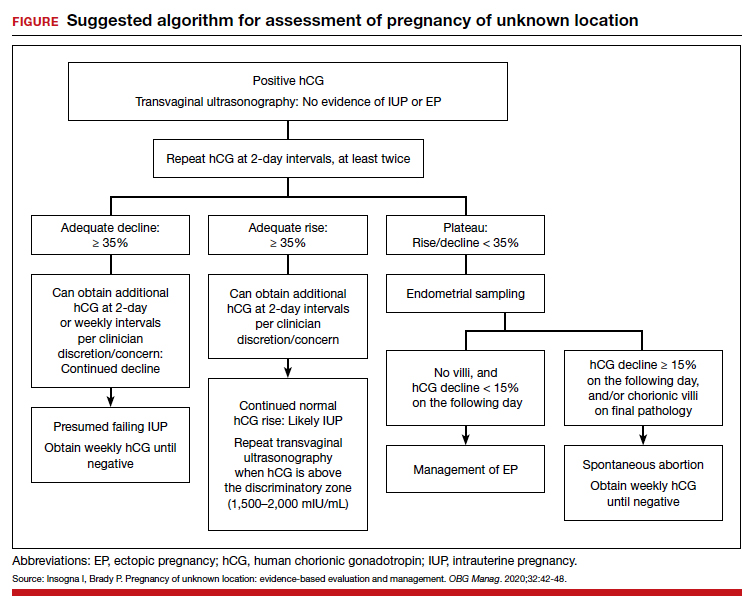 Early Pregnancy Assessment