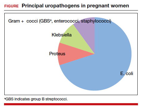 Association between antibiotic treatment during pregnancy and