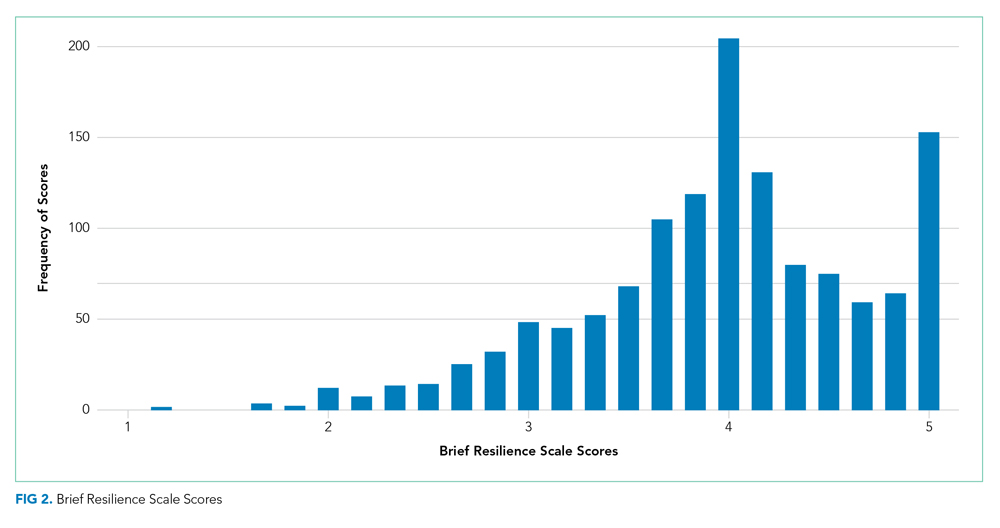 Brief Resilience Scale Scores