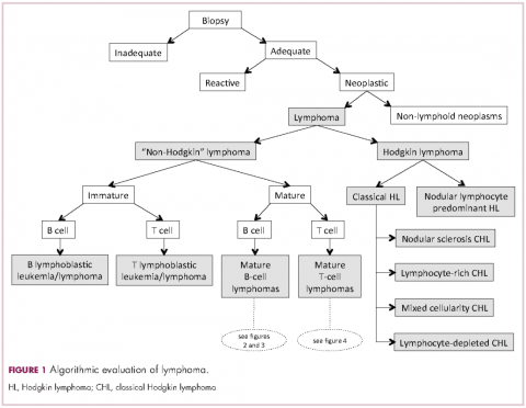 Figure 1 algorithmic evaluation of lymphoma