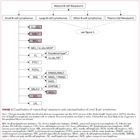 Figure 2 B-cell neoplasms B-cell lymphomas