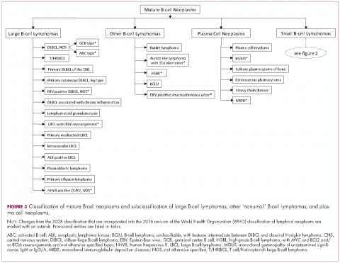 Figure 3, B-cell neoplasms, large B-cell lymphomas, plasma cell lymphomas