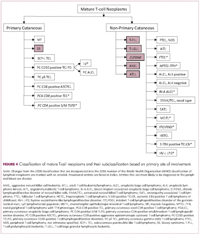 Figure 4, mature T-cell neoplasms, primary cutaneous, nonprimary cutaneous