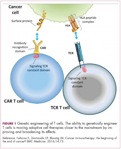 Figure 1 Immunotherapies. Genetic engineering of T cells