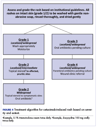 Figure 4 Treatment algorithm for cetuximab-induced rash based on severity and extent