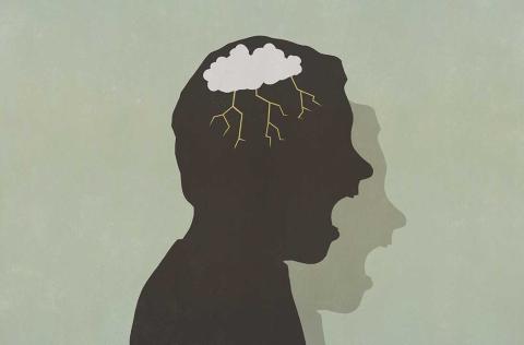 Brain