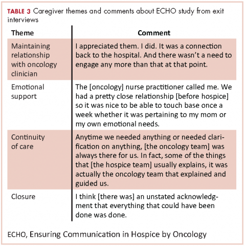 Table 3 Tehmes and comments for the ECHO study