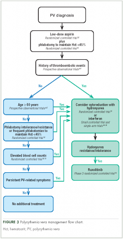 Figure 3 Polycythemia vera management flow chart