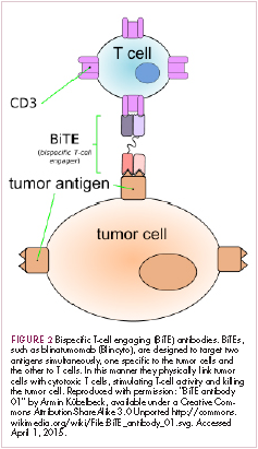 Figure 2 immunotherapies and heme malignancies - genetically modified T-cell receptors for cancer immunotherapy