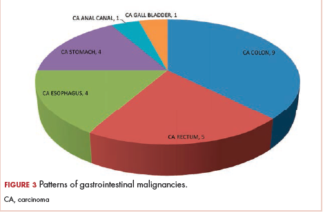 Figure 3 Patterns of GI malignancies in patients with HIV-AIDS