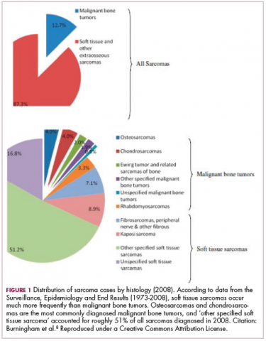 Figure 1 Distribution of sarcoma cases by histology (2008).