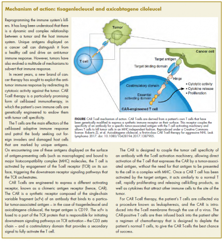 Figure mechanism of action of CART T-cell therapies