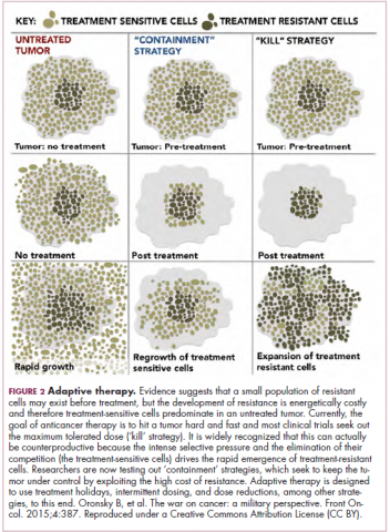 Figure 2. adaptive therapy