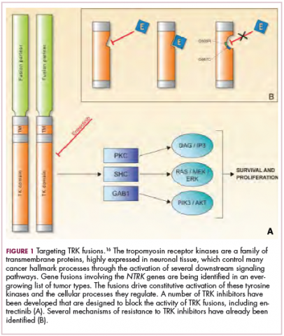 Figure 1 de lartigue pediatric cancer