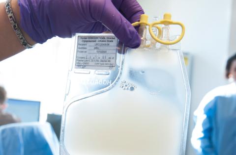 CAR T cells in a bag