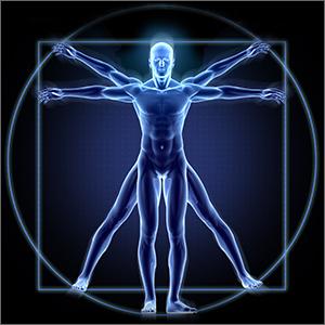 blue and black human body anatolmy illustration