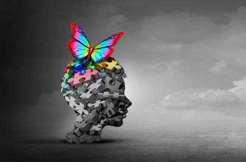 Autism spectrum disorder