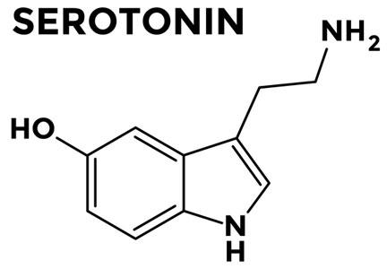 gabapentin for alcohol use