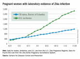 New Zika cases in pregnant women continue to drop