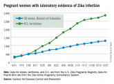 United States about to top 40,000 Zika cases