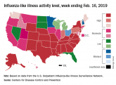 Influenza activity continues to increase