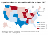 Smoking-cessation attempts changed little over 7-year span