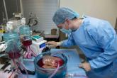 Supercooling extends donor liver viability by 27 hours