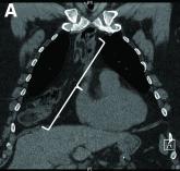 January 2021 - What's your diagnosis?
