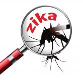 Zika linked to a spectrum of neuroinflammatory diseases