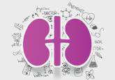 Renal denervation: What happened, and why?