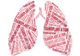 Lung transplant: Candidates for referral and the waiting list