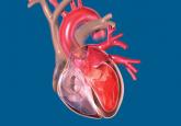 Introduction: Challenges and advances in cardiovascular disease