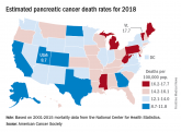 Mortality estimates put pancreatic cancer on the map