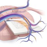 Postsurgical pain: Optimizing relief while minimizing use of opioids