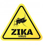 Antiviral shows early promise for treatment of Zika infection