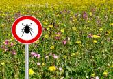 Tickborne diseases other than Lyme in the United States