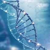 2018 Update on prenatal carrier screening