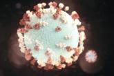Study links mumps outbreaks to vaccine waning