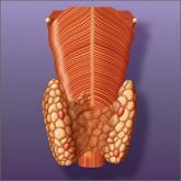 Primary hyperparathyroidism: Labs to order, Tx to consider