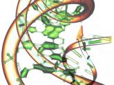 Genetic profiles more clearly defined in endometrial cancer, AML
