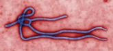 CDC: Ebola Poses Very Low Risk to US Health Care Workers