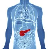 Elevated branched-chain amino acids may predict pancreatic cancer