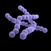 Strep infection linked to death after liposuction at ‘spa’