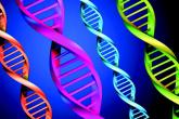 Genetic screen not worth cost for node-negative breast cancer patients