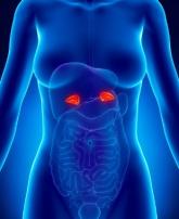 High-volume surgeons have best adrenalectomy outcomes