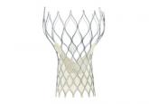 CoreValve holds size advantage for U.S. TAVR