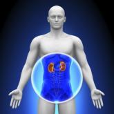 Childhood glomerular disease associated with adult hypertension